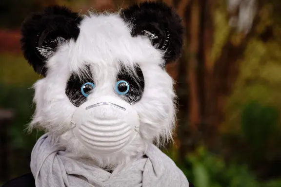 NoxWin Kasyno Wsparcie